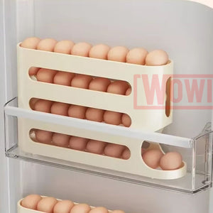 ORGANIZADOR DE HUEVOS